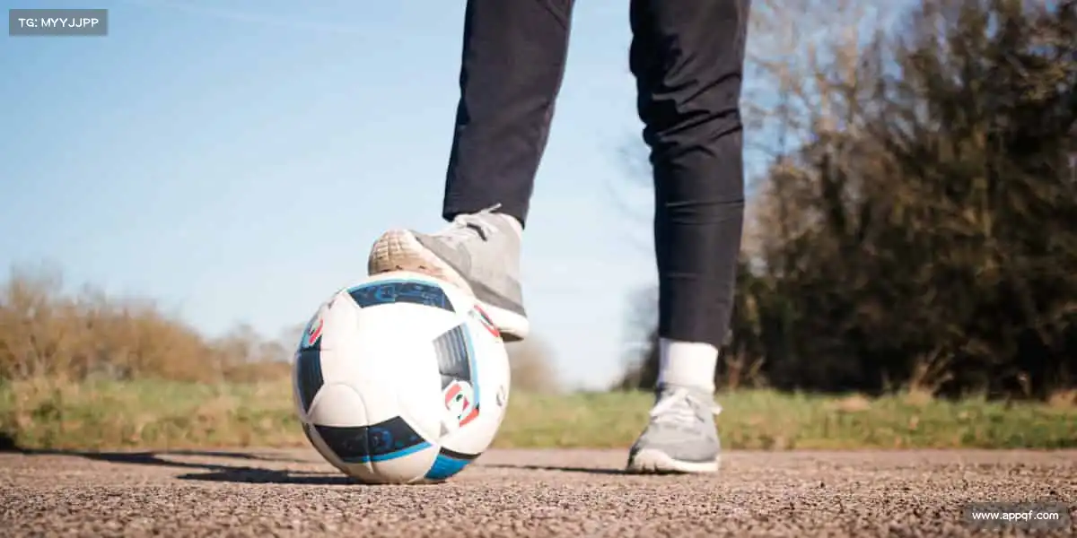 行业领先的理由